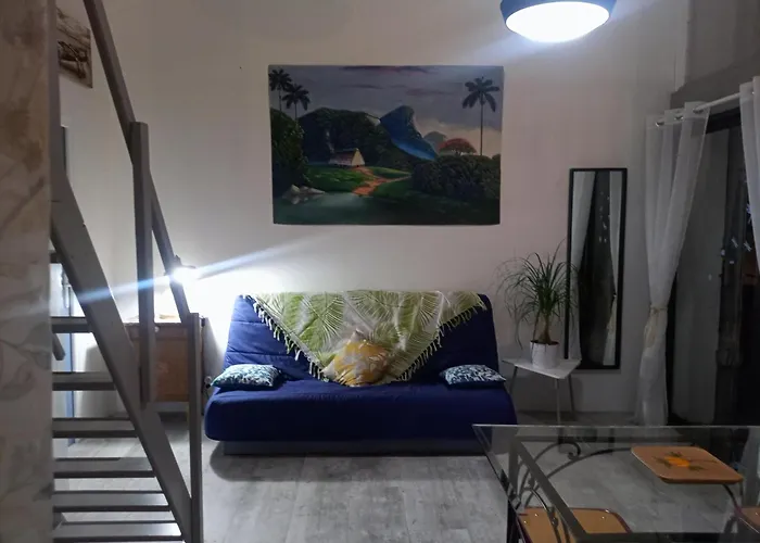 Studio D'aqui Et D'ailleurs * Перпиньан