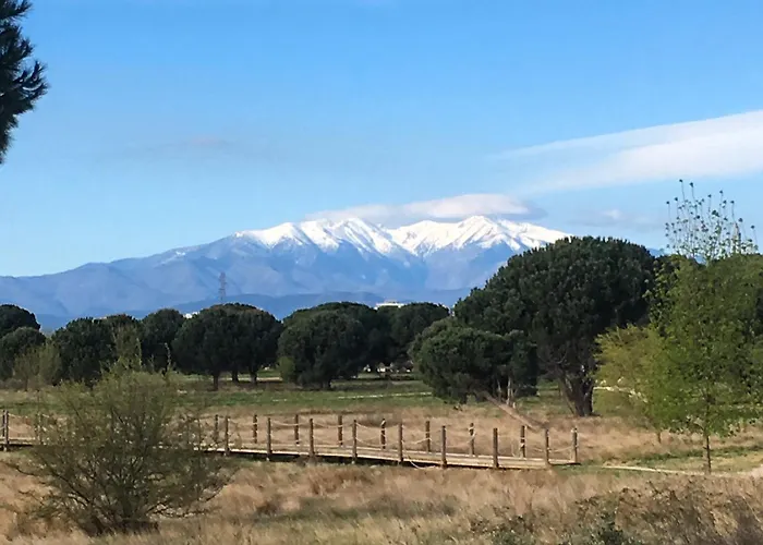 Studio D'aqui Et D'ailleurs Apartament